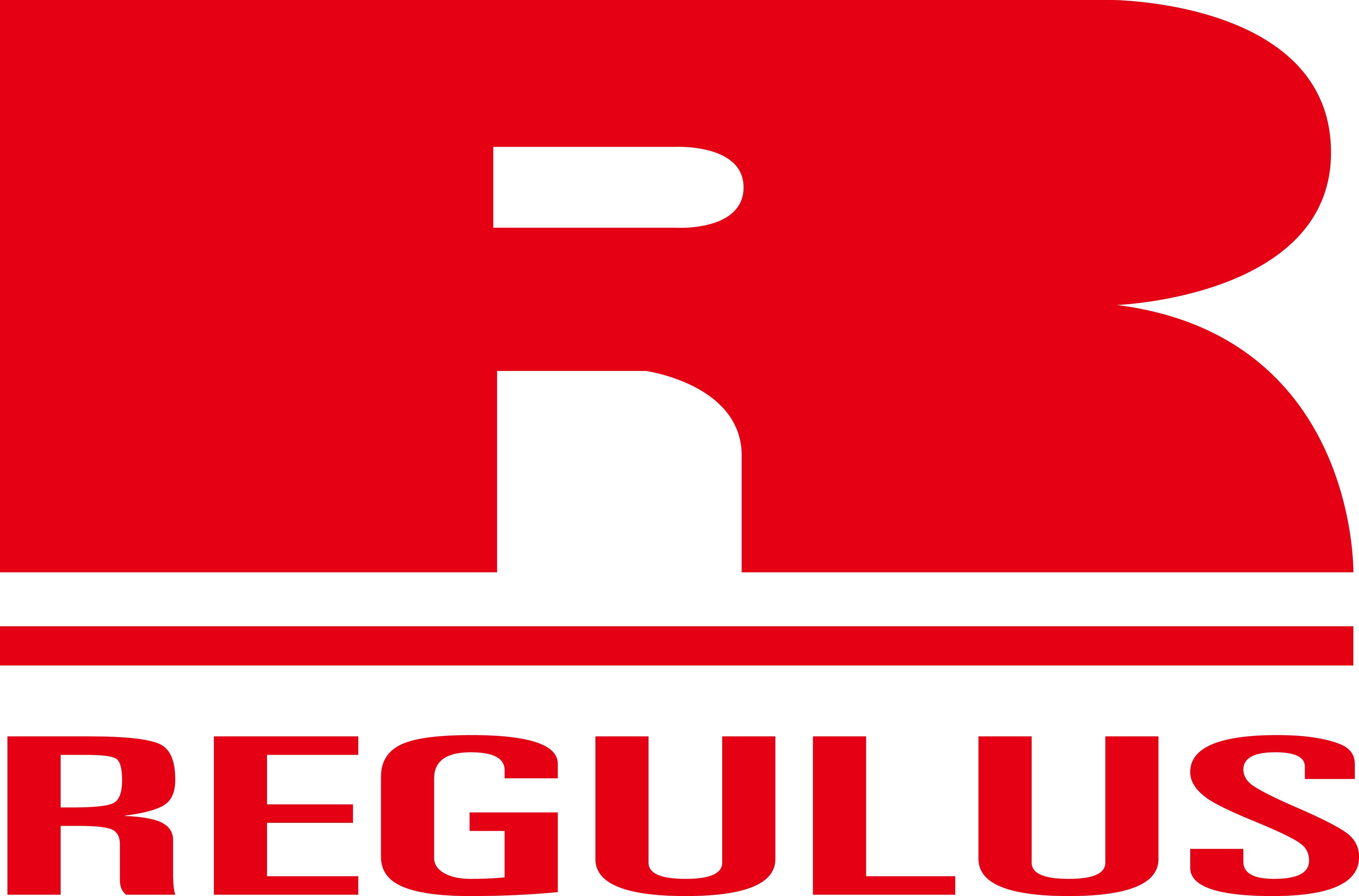 Regulus Electronics